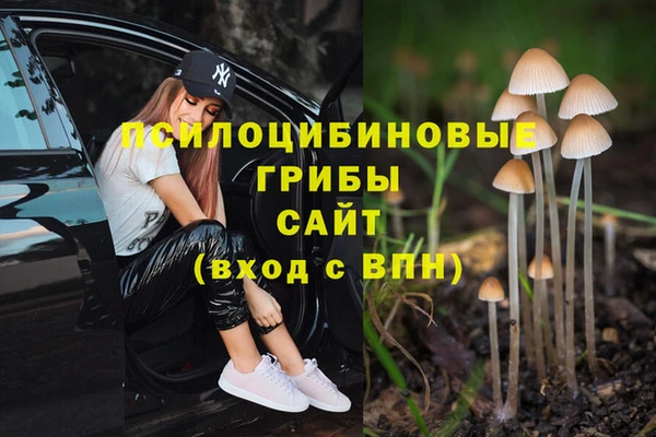 MESCALINE Сосновоборск