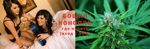 ГАЛЛЮЦИНОГЕННЫЕ ГРИБЫ Снежинск